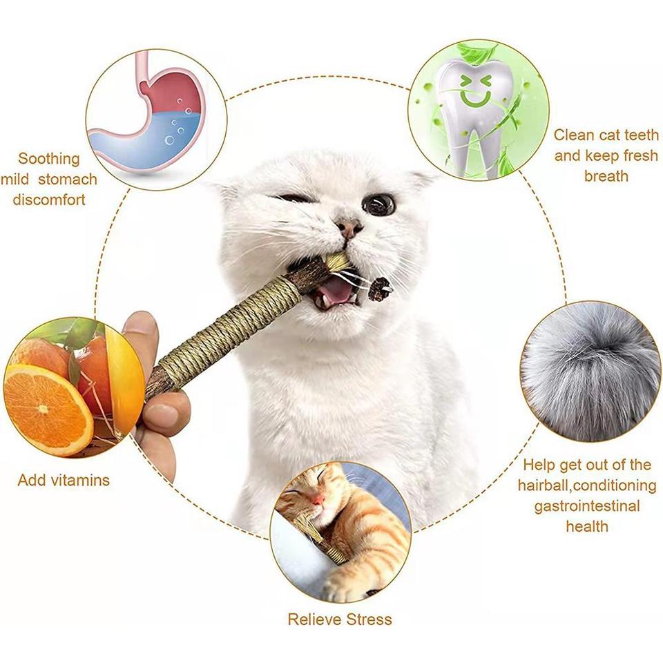 1/2/5/10pcs Toys Silvervine Chew Stick Natural Stuff Cleaning Mint Stick Accessories Teaser Supplies Pet Teeth Toy
