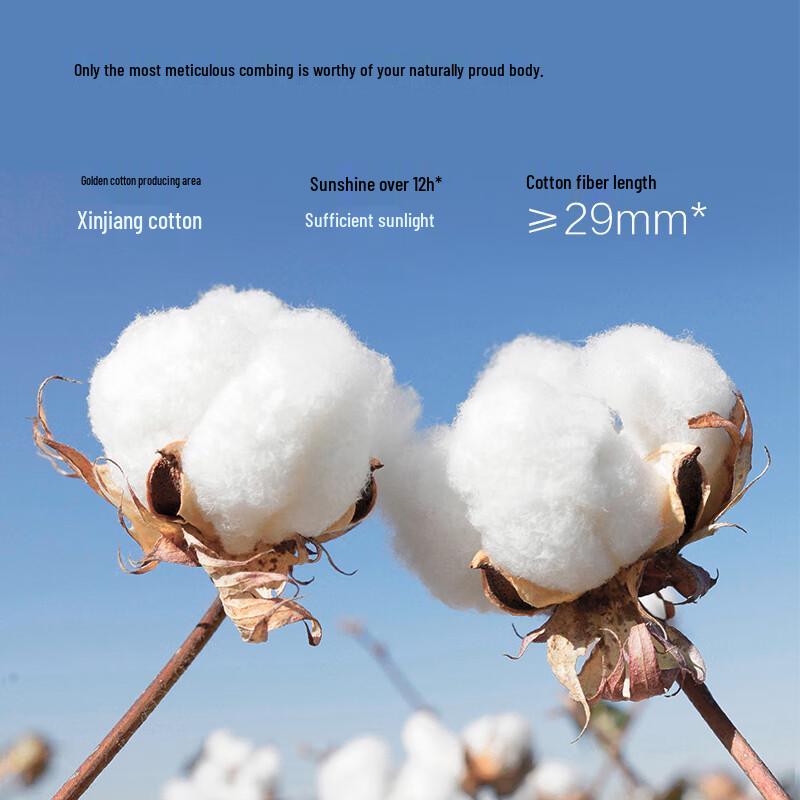 LANSWE Women's Cotton Antibacterial Mid-Waist Briefs (Multi-Pack)