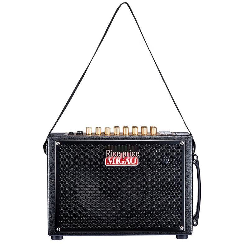 Meigao MG832A-LI Portable Instrument Speaker