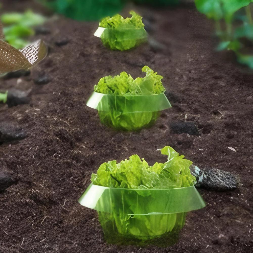 Gulerele pentru melci Gulerele pentru protecția plantelor Acoperire pentru ghivece pentru plante Reutilizabile pentru plante agricole Protecție pentru melci Economisiți apă Huse pentru legume