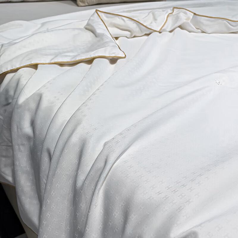 QI LU Premium Tussahseiden-Bettdecke