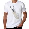Funny Llama Tshirt Lightweight Gym Training Tshirt