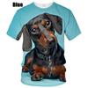 Summer Round Neck 3D Dog Dachshund Printed Top Fashionable Casual Short Sleeved Children's Boy T-shirts