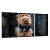 Glass Hob Protector 3x30x52