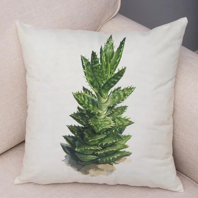 Watercolor Succulents Decorative Pillowcase Office Living Room Car Ornaments Home Pillowcase