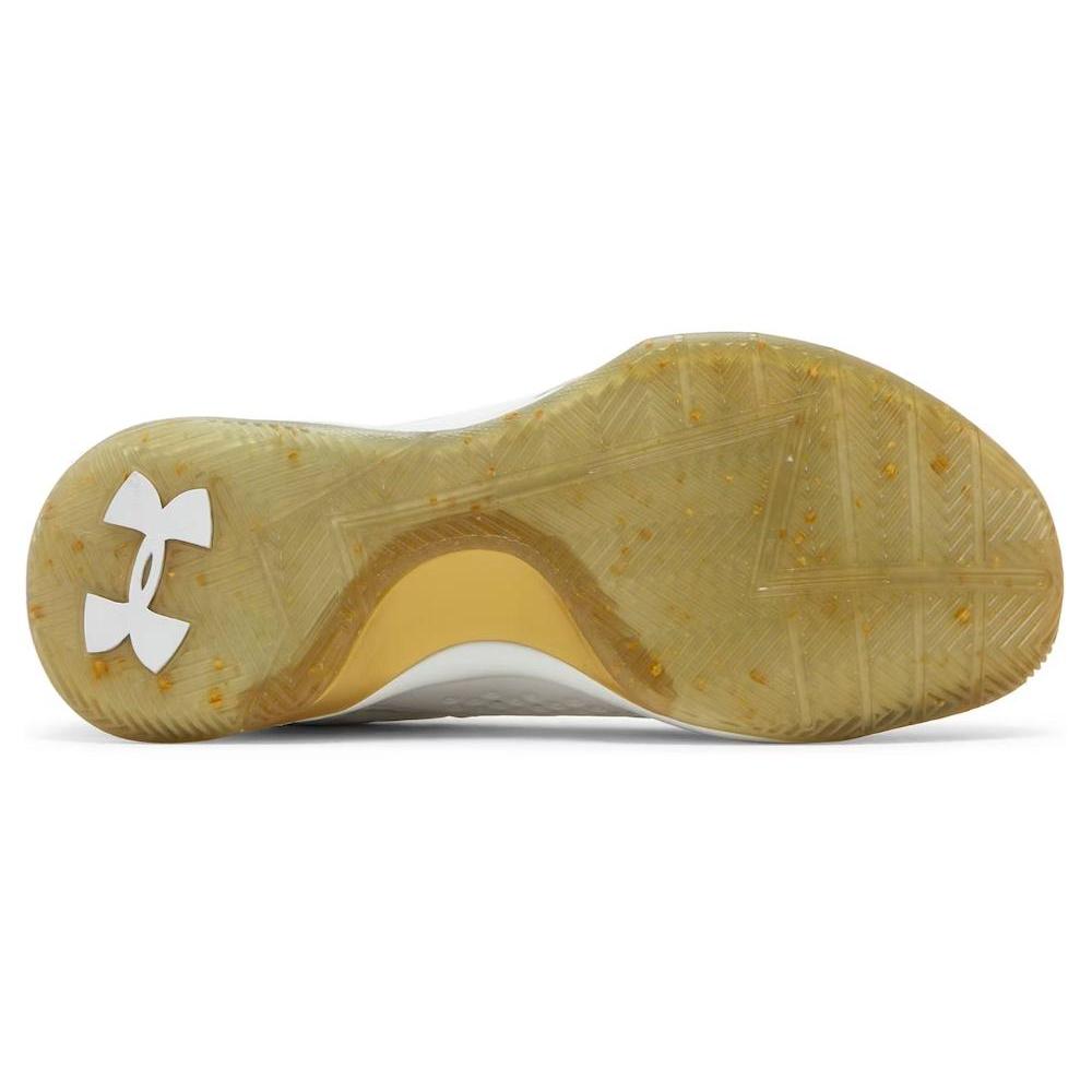 Under Armour Ua Curry 1 Low Championship 1269048-100