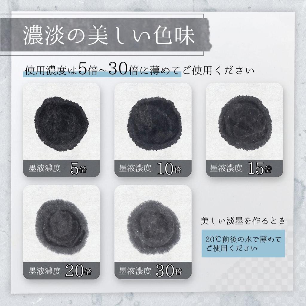 Bokuundo Tintensaft Sumi no Essenz für Tintenmalerei 100ml 11406 Nr. 31