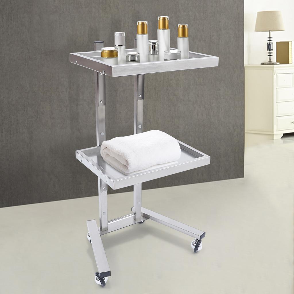 2-Tier Mobile Beauty Hairdressing Cart, Stainless Steel Rolling Utility Organizer for Salon Styling Supplies, 11lbs Capacity