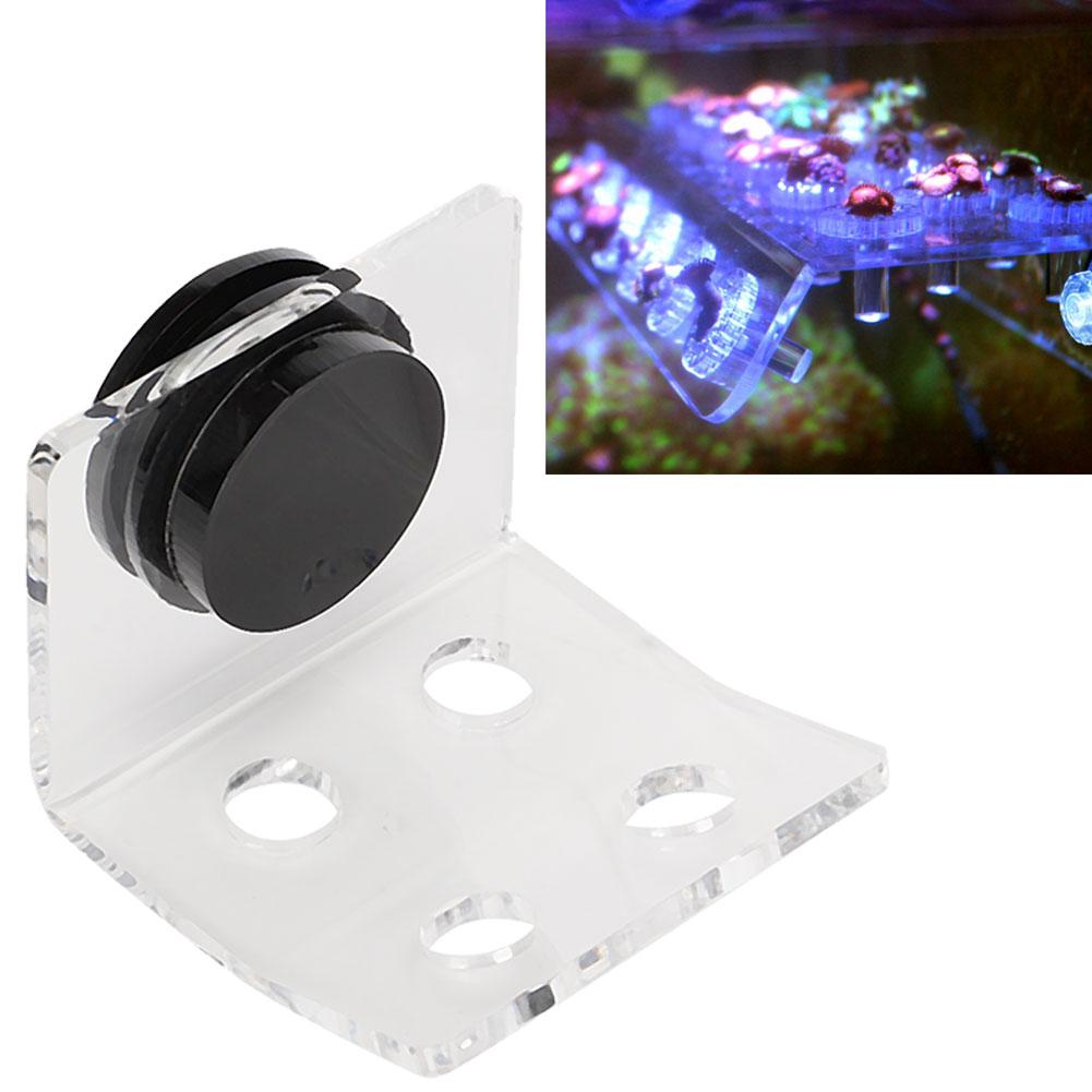 Aquarium Marine Coral Racks Bracket Holder Fish Button Frame Enhanced Suction Cup