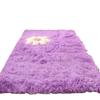 Long-Haired Plush Carpet for Bedroom, Soft Non-Slip Bay Window Mat, Living Room Floor Rug