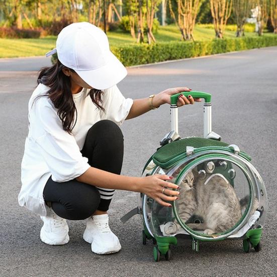 Pet Trolley Case Clear Ventilation Holes Silent Wheels Convenient Portable Cats