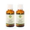 R V Essential Pure Bitter Almond Carrier Oil (100ml+100ml) Pack of Two- Prunis Dulcis (100% Pure and Natural Cold Pressed)
