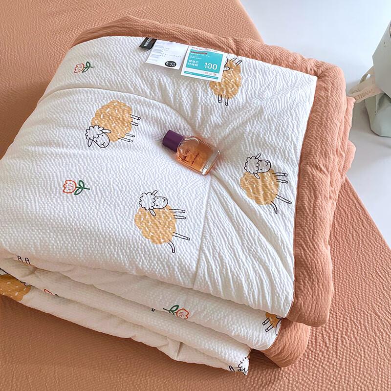 Plover Four Seasons Seersucker Cotton Quilt