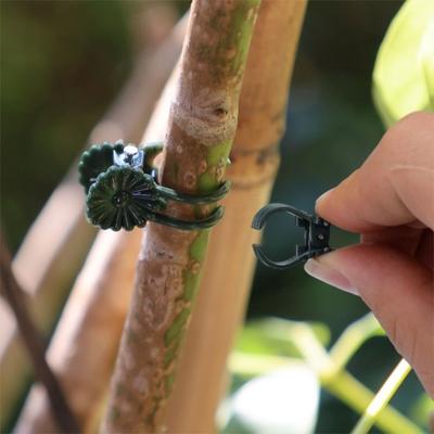 50Pcs Reusable Plant Fix Clips Orchid Shaped Plastic Flower Bracket Vegetable Stem Support Clamp
