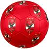 Al Ahly Sporting Club Soccer Ball, colorful, suitable for all ages, machine-stitched, PVC material, competition grade, durable and high bounce