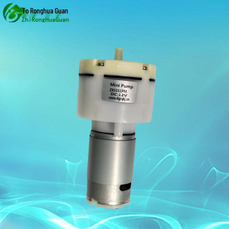 High Flow 12V/24V Mini Negative Pressure and Inflating Air Pump