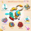 Montessori Toys for 1 2 3 4 5 Year Old Boy Girls Busy Cube Sensory Toddler Toys Age