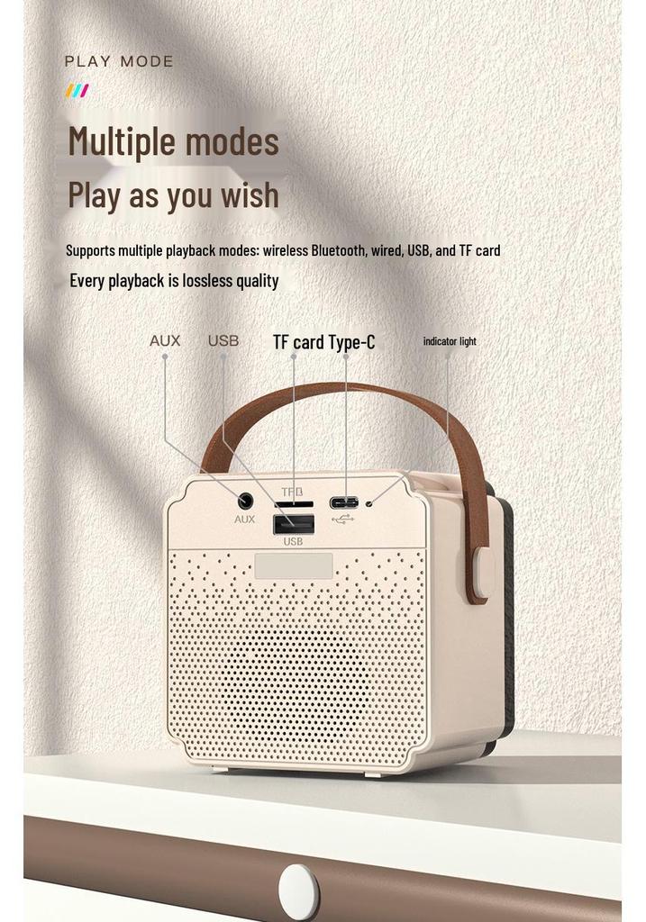 Private Mold P8 Bluetooth Wireless KTV Speaker & Kids' Microphone All-in-One for Home and Outdoor Use