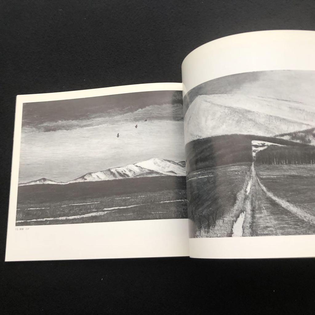 [USED] Catalog "Kyuichiro Aihara Exhibition: Early Spring - News from Furano" 1986, Nichido Gallery