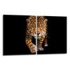2x GLASS PROTECTIVE PLATE FOR STOVE 40x52 CAT