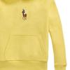 Polo Ralph Lauren Printed Hooded Pullover Sweatshirt Kids Sweatshirts 313965121-002