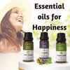 Ananta Happiness Essential Oil Combo – Sweet Orange, Lavender & Ylang Ylang Aroma Oils (10 Ml × 3)