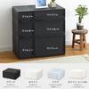 Sanka Modular Case, Freely Combinable Drawer Storage Case, Slim L, Black. Customize Your Storage To Fit Your Lifestyle. Smooth Sliding Drawers with a