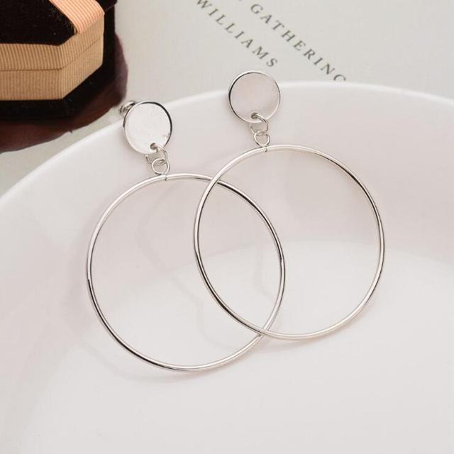Metal Tassel Earrings for Women Long Circle Dangle Earrings Geometric Round Drop Earrings Brief Jewelry pendientes
