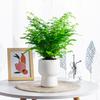 Self-absorbing Flowerpot with Cotton Rope Planter Double-layer Breathable Structure And Water Storage Tank Flower Pot for Indoor Plants