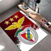 Red Eagle Emblem Carpet Design suitable as a non-slip mat for the living room or bedroom sofa