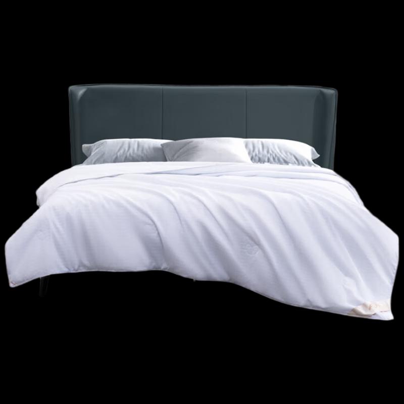 

Mercury Summer Cool Tussah Silk Quilt