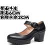6cm 8cm 10cm Small Size 32-43 Shallow Comfortable Genuine Leather Shoes Women Pumps 2025 Fall Block High Heels Mary Janes Work
