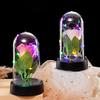 Eternal Flower Glass Dome Night Light - Gold Foil Butterfly Rose & Dried Flower Table Decoration