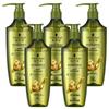 Shampoo all'Olio Essenziale di Zenzero Controllo Sebo