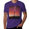 Rose At Sunset T-Shirt Quick-drying Plain Designer T Shirt Men