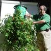 Sturdy Hanging Planter Bag For Tomatoes Strawberries Balcony And Home Gardening