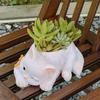 Cute Cat Succulent Flowerpot Balcony Green Plants Living Room Home Office Desktop Potted Plant Home Decoration
