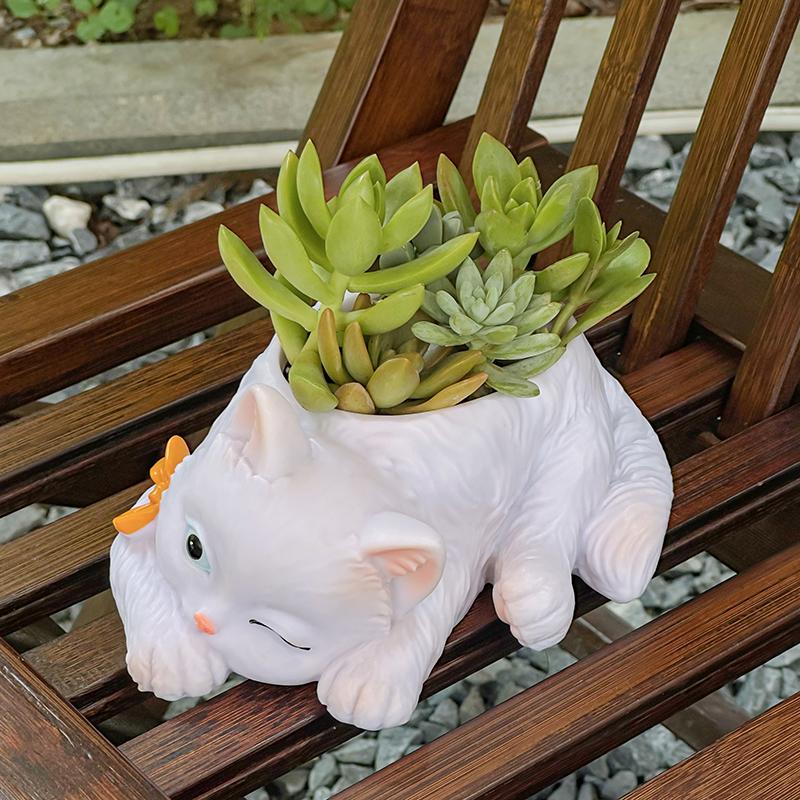 Cute Cat Succulent Flowerpot Balcony Green Plants Living Room Home Office Desktop Potted Plant Home Decoration