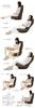 Collaboration High Back Swivel Chair 2 41 Levels Reclining Back Pain Prevention Made In Japan Industry-Academia (Green)