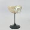 Originality Conch Wine Glass Goblet Handmade Banquet Natural Metal Glass Polishing Decoration Ornament Gift For Bar