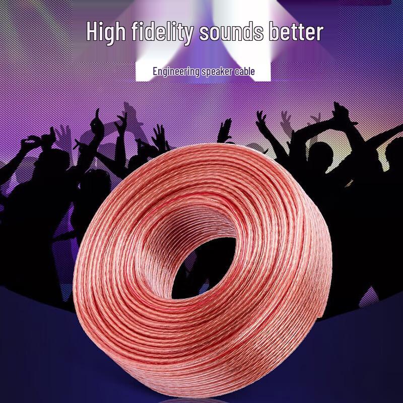 

SAST Professional Speaker Audio Cable