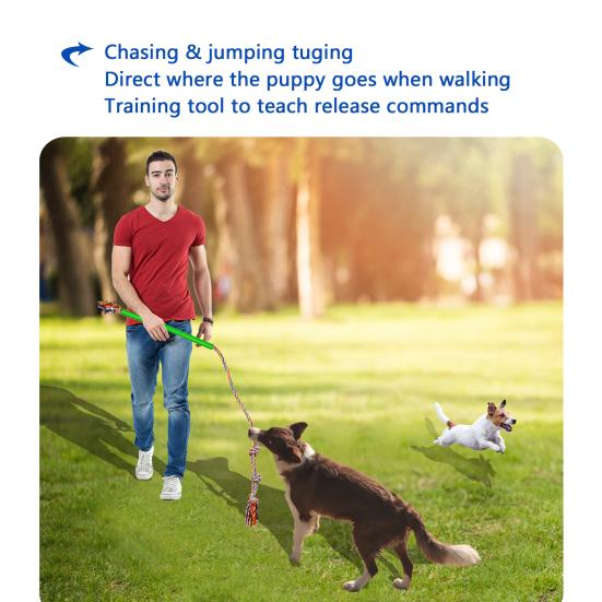 pole leash for dogs