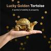 HindCraft Vastu Item | Feng Shui Golden Turtle with Coins | Good Luck Symbol