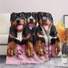 Pink Rottweiler,pattern Flannel Blanket, High quality Comfortable for All Seasons, Home Decor, Warmth and Comfort, Perfect for Gifts.