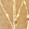 50-LED 80cm Simulation Birch Tree Branch Light Indoor Decorative Light Holiday Party Home Decor