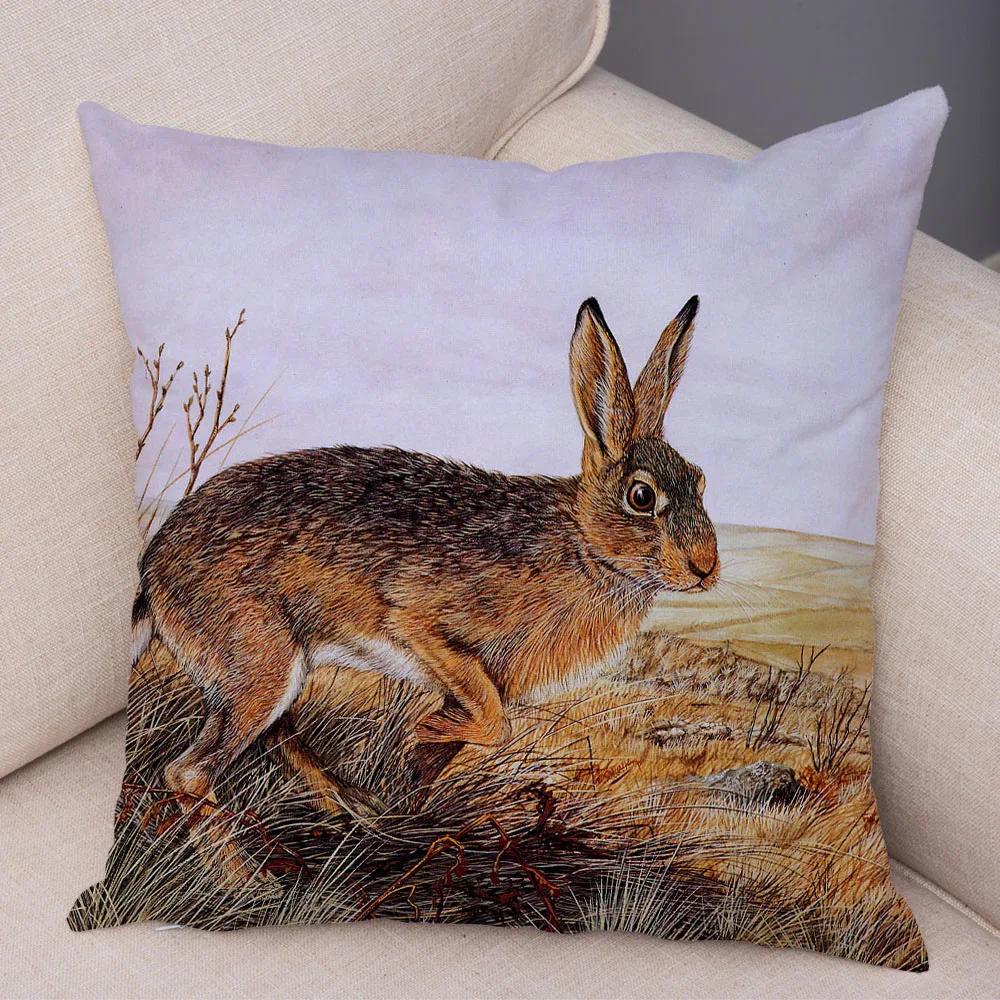 Bedroom Sofa Car Cushion Cover Cartoon Animal Colorful Fox Bird Squirrel Series Home Office Decoration Pillow