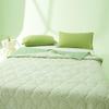ZMN French Mugwort Antibacterial Summer Quilt