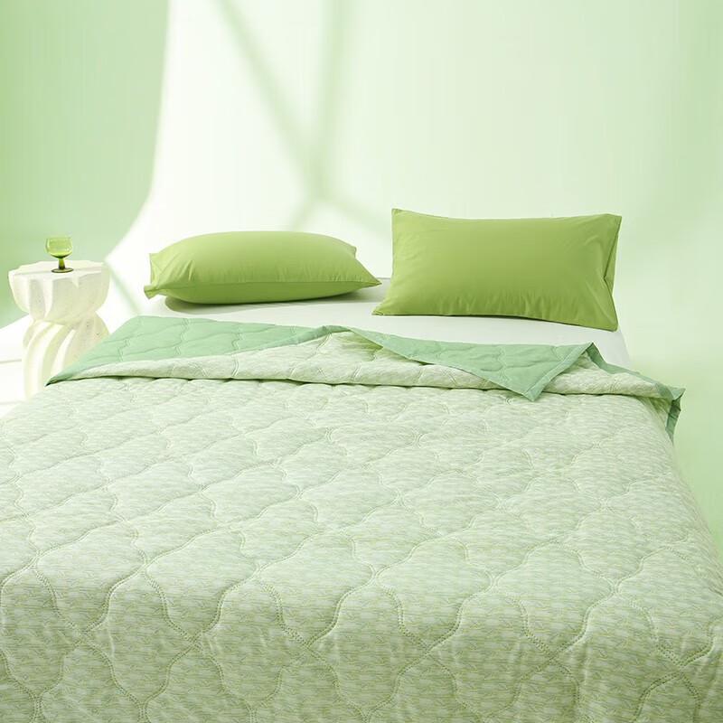 ZMN French Mugwort Antibacterial Summer Quilt