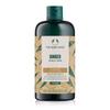 Shampoo Cura Cuoio Capelluto allo Zenzero 400ML (42551)