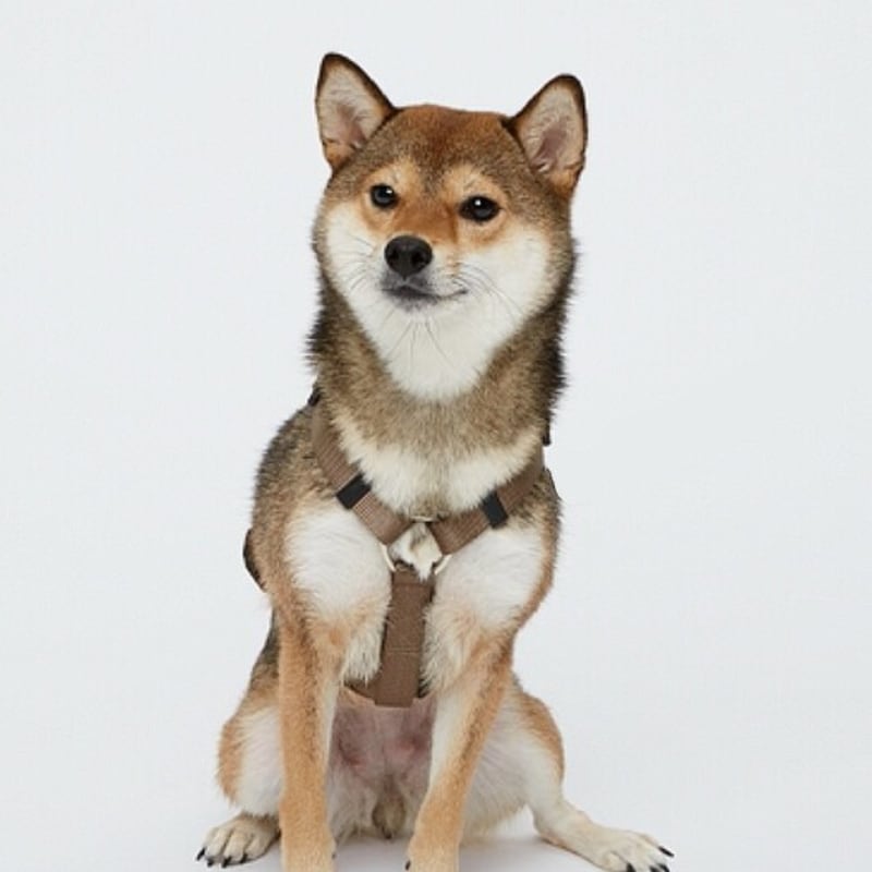 Heart Earth Art H-Type Harness Brown